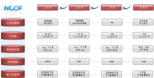 OTN精品專線成行業(yè)趨勢(shì)，謹(jǐn)防服務(wù)品質(zhì)“開(kāi)倒車” 信息系統(tǒng)集成服務(wù)的挑戰(zhàn)與應(yīng)對(duì)